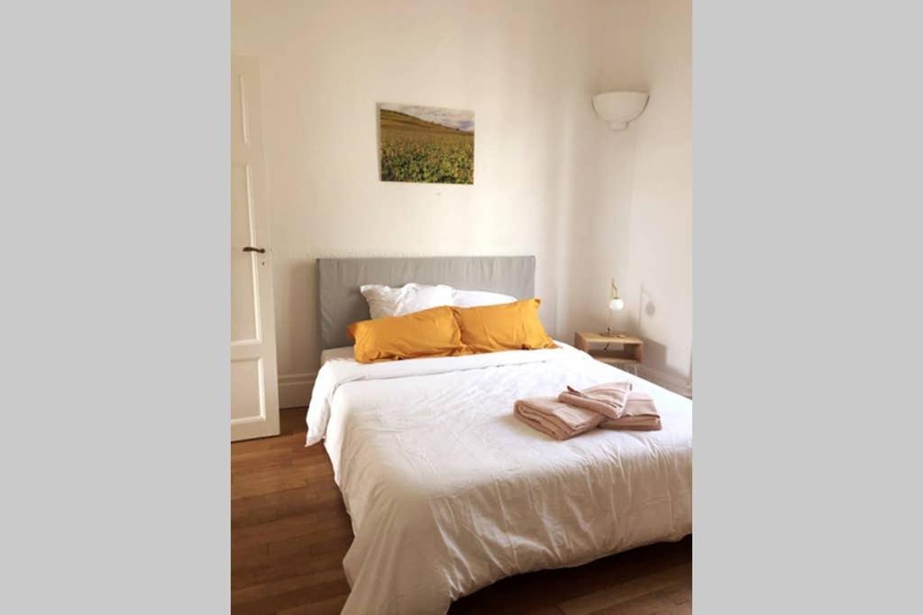 Appartement Cosy Idealement Situe Au Centre Ville Dijon Buitenkant foto